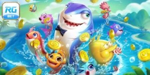 Bancavui - Chinh Phục Đại Dương, Săn Cá Kịch Tính Tại RGBET